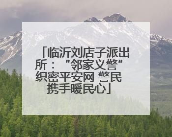 临沂刘店子派出所：“邻家义警”织密平安网 警民携手暖民心